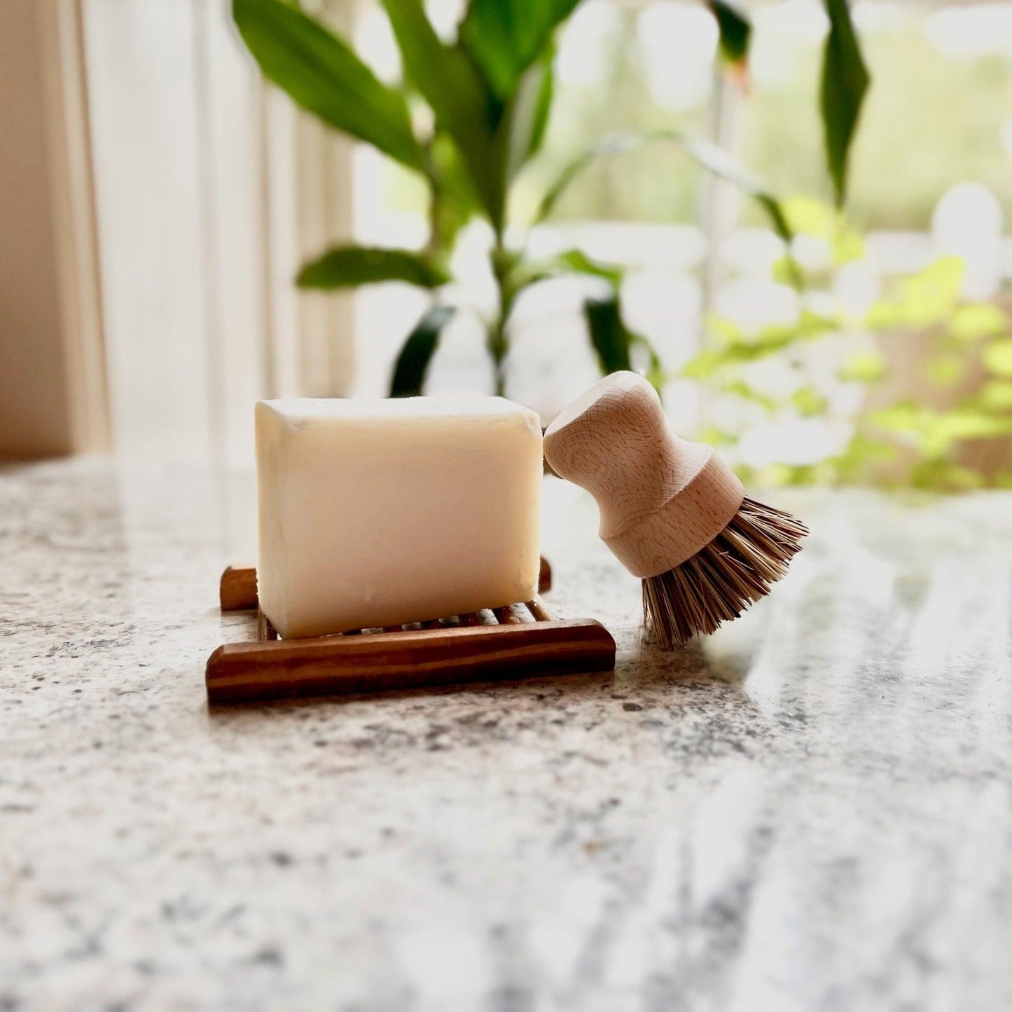 All Natural Soap | Unscented Dish Bar | Sustainable Home - 310 Soap Company